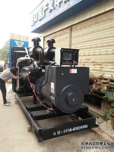 柴油發電機組廠家